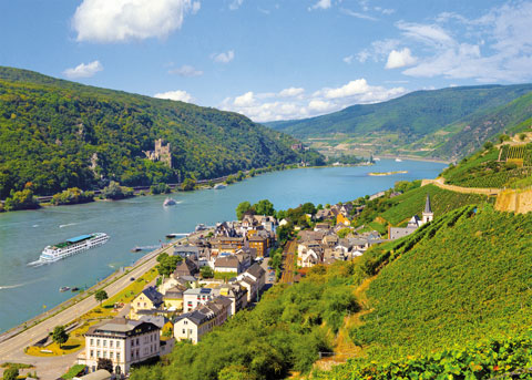 Crociere Reno e Mosella da Strasburgo a Cochem